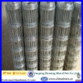 Galvanized Grassland Fence/Field Fence/Field Netting (Gold supplier/Manufacturer/ISO)